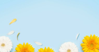 Mavi arka planda renkli Gerbera çiçekleri. Bahar kartı şablonu. Üst görünüm düzlüğü kopyalama alanı ile yatıyordu