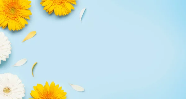 Bunte Gerbera Blüten Auf Blauem Hintergrund Federkärtchen Vorlage Draufsicht Flach — Stockfoto