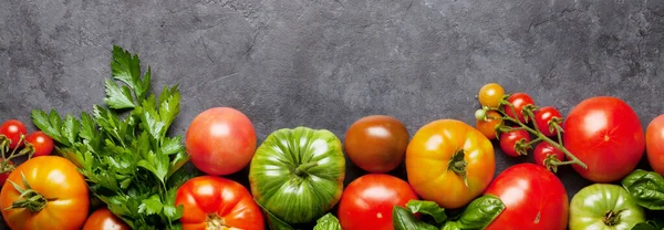 Various Tomatoes Herbs Stone Table Top View Flat Lay Copy — Stock Photo, Image