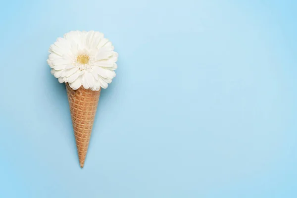 青い背景にアイスクリームワッフルコーンの白いガーベラの花 コピースペース付きのトップビューフラットレイ — ストック写真