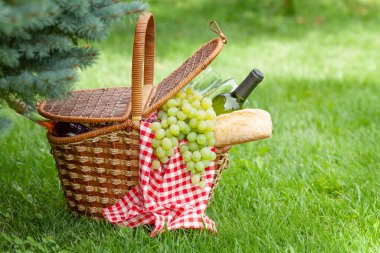 Şarap, üzüm ve ekmekli piknik sepeti. Bahçede güneşli otlar ve fotokopi alanı.