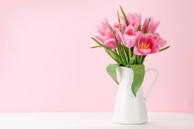 Pembe lale çiçekleri pembe arka planda. Kopyalama alanı ile