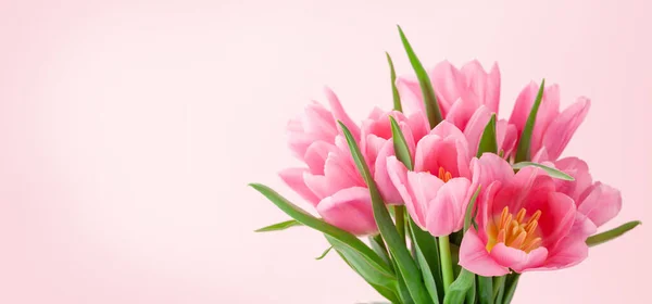 Ramo Flores Tulipán Rosa Delante Fondo Rosa Con Espacio Copia —  Fotos de Stock