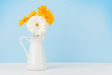 Mavi arka planda renkli Gerbera çiçekleri. Üst görünüm düzlüğü kopyalama alanı ile yatıyordu