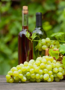 Beyaz ve gül şarabı şişesi ve üzümlü olgun üzüm üzüm üzümleri bağdaki ahşap masada.