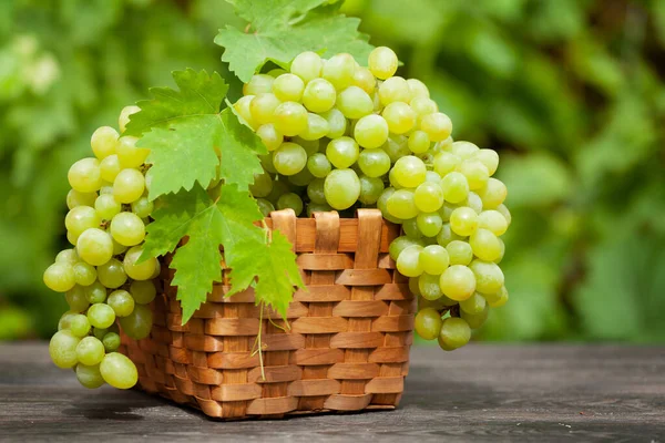 Rijp Witte Druiven Houten Tafel Wijngaard — Stockfoto