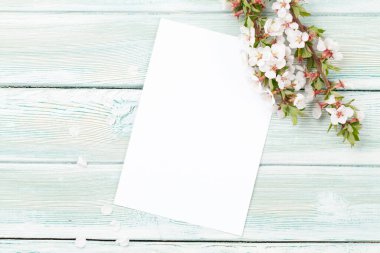 Mavi ahşap arka planda kiraz çiçeği. Kutlama kartı ya da yemek menüsü için sakura dalı ile bahar arkaplanı. Üst görünüm düzlüğü kopyalama alanı ile yatıyordu