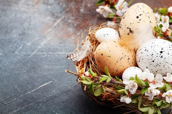 Paaseieren Nest Kersenbloesem Voorjaarskaart Met Kopieerruimte — Stockfoto