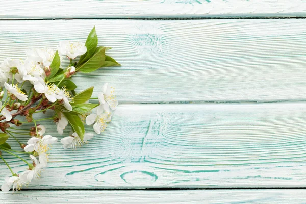 Kwiat Wiśni Niebieskim Drewnianym Tle Wiosenne Tło Gałęzią Sakura Kartek — Zdjęcie stockowe