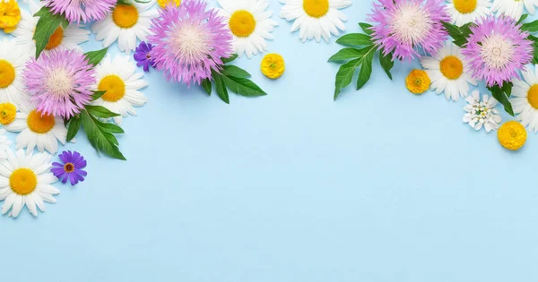 Várias Flores Coloridas Jardim Sobre Fundo Azul Modelo Cartão Saudação — Fotografia de Stock