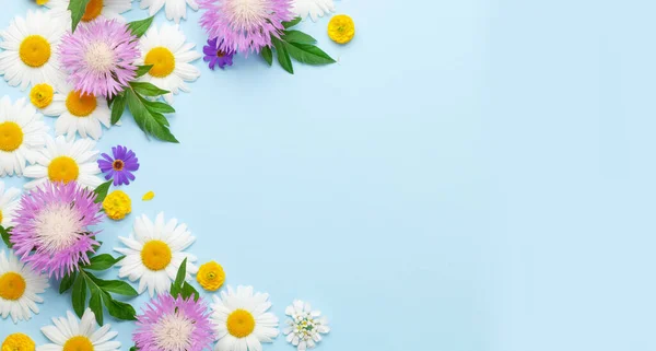 Diverse Kleurrijke Tuinbloemen Blauwe Achtergrond Wenskaart Template Bovenaanzicht Plat Lag — Stockfoto