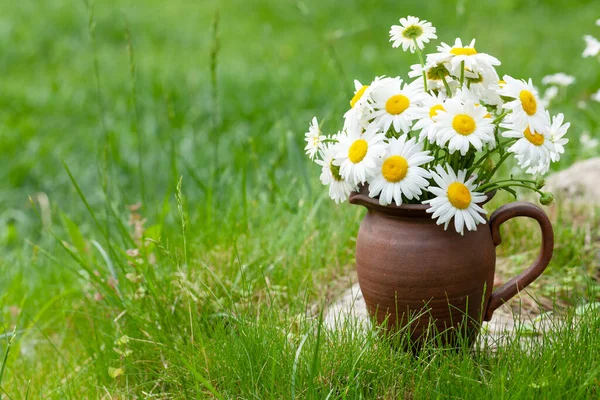 Wilde Kamille Boeket Zomergras Gazon Met Kopieerruimte — Stockfoto