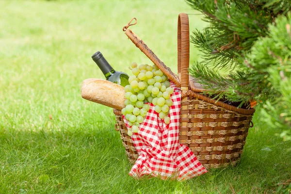 Picknickmand Met Wijn Druiven Stokbrood Zonnig Tuingras Met Kopieerruimte — Stockfoto