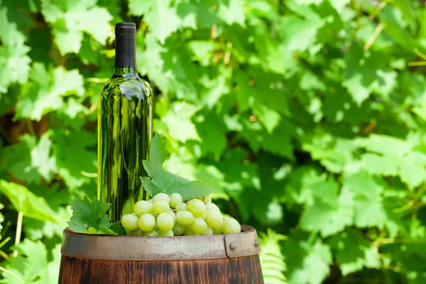 Wine Bottle Grape Vine Old Wine Barrel Front Vine Leaves — Stock Photo, Image
