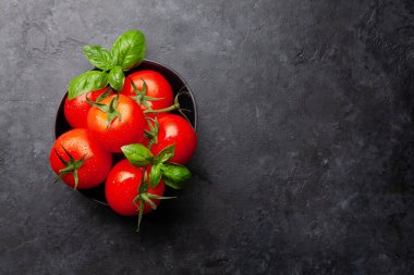 Taze domates ve fesleğen yaprakları. Üst görünüm düzlüğü kopyalama alanı ile yatıyordu