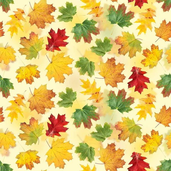 Autumn Leaves Seamless Pattern Colorful Fall Maple Leaves Flat Background — Stock Photo, Image