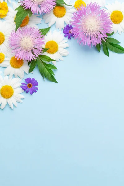 Varias Flores Jardín Colores Sobre Fondo Azul Tarjeta Felicitación Plantilla —  Fotos de Stock