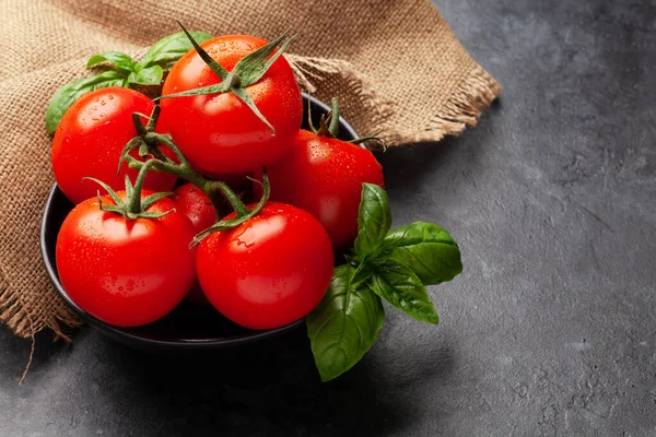 Fresh Garden Tomatoes Basil Leaves — Stock Photo, Image