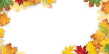 Sonbahar yaprakları arka plan. Renkli sonbahar akçaağaç arka plan desenini kopyalama alanı ile bırakır