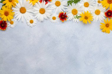 Papatya çiçeği arka planı. Arka planda papatya çiçekleri var. Üst görünüm düzlüğü kopyalama alanı ile yatıyordu