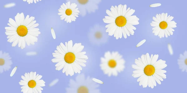 Blumen Nahtlose Muster Gänseblümchen Kamillenblüten Auf Gelb Flache Hintergrundtextur — Stockfoto