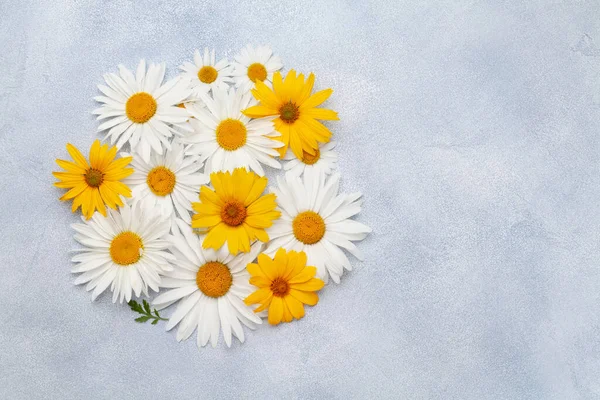 Kamillenblüten Hintergrund Gänseblümchen Garten Vor Steinkulisse Draufsicht Flach Lag Mit — Stockfoto