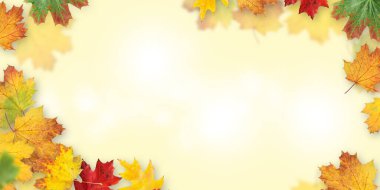 Sonbahar yaprakları arka plan. Renkli sonbahar akçaağaç arka plan desenini kopyalama alanı ile bırakır