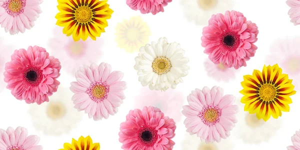 Bloemen Naadloos Patroon Kleurrijke Madeliefje Gerbera Bloemen Geïsoleerd Wit Platte — Stockfoto
