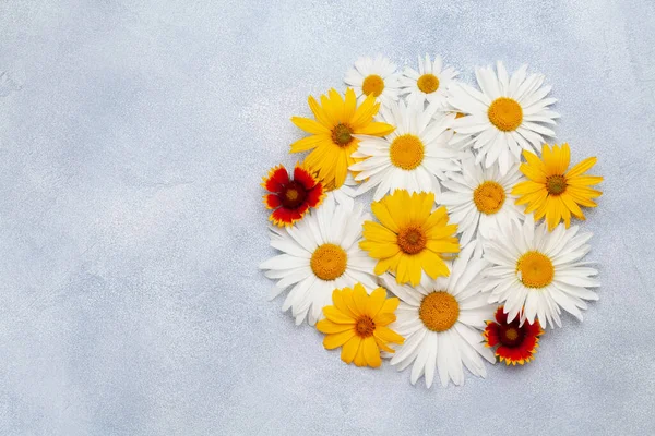 Kamomill Blommor Bakgrund Trädgård Tusensköna Blommor Över Sten Bakgrund Ovanifrån — Stockfoto