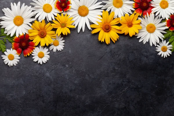 Kwiaty Rumianku Tle Ogród Stokrotki Kwiaty Tle Kamienia Widok Góry — Zdjęcie stockowe