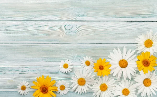 Chamomile Flowers Background Garden Daisy Flowers Wooden Backdrop Top View — Stock Photo, Image