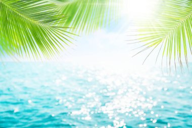 Parlak dalgalı yaz denizi, palmiye yaprakları ve güneşli mavi gökyüzü güneş ve bulutlarla. Bulanık seyahat ve tatil arkaplanı