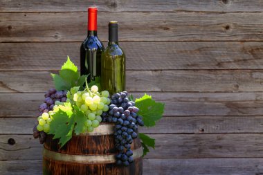 Çeşitli renklerde üzümler ve şarap şişeleri açık hava güneşli bahçesinde tahta duvarın önünde fotokopi alanı olan şarap fıçıları.