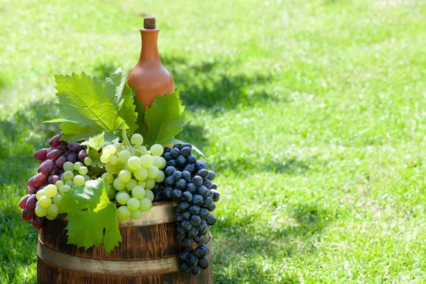 Diverse Kleurrijke Druiven Wijnfles Wijnvat Buiten Zonnige Tuin Met Kopieerruimte — Stockfoto