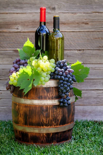 Various Colorful Grapes Wine Bottles Wine Barrel Outdoor Sunny Garden — Stock Photo, Image