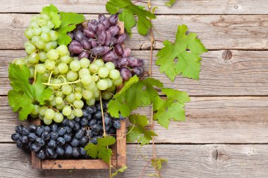 Tahta masada çeşitli renkli üzümler var. Üst görünüm düzlüğü kopyalama alanı ile yatıyordu