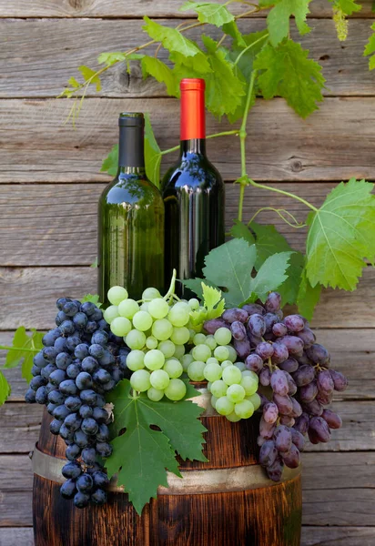 Various Colorful Grapes Wine Bottles Wine Barrel Outdoor Sunny Garden — Stock Photo, Image