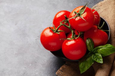 Taze domates ve fesleğen yaprakları. Kopyalama alanı ile