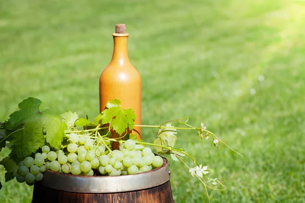 Uvas Garrafa Vinho Barril Vinho Jardim Ensolarado Livre Com Espaço — Fotografia de Stock