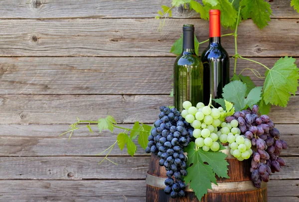 Várias Uvas Coloridas Garrafas Vinho Barril Vinho Jardim Ensolarado Livre — Fotografia de Stock