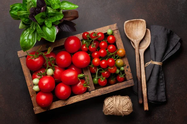 Cozinha Italiana Ingredientes Alimentares Tomates Frescos Manjericão Jardim Vista Superior — Fotografia de Stock