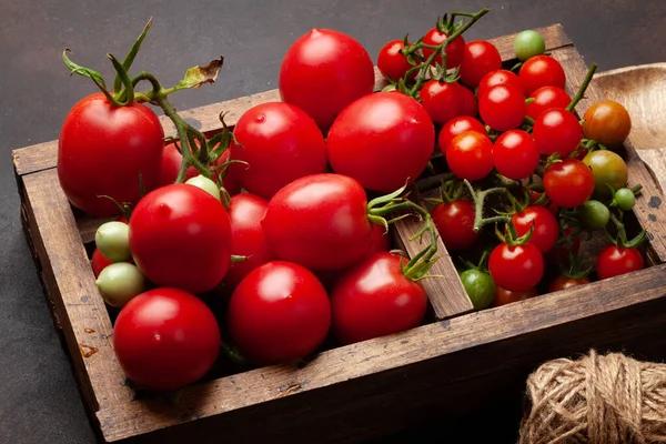 Färska Tomater Och Körsbärstomater Trälåda — Stockfoto