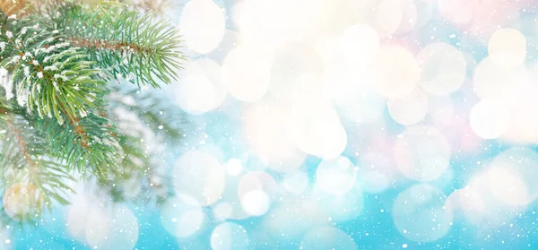 Julkort Med Gran Gren Snö Ljus Bokeh Och Kopiera Utrymme — Stockfoto