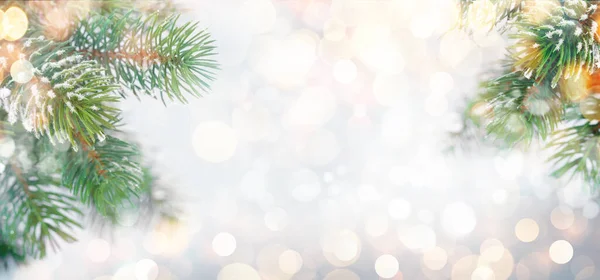 Різдвяна Листівка Гілками Ялинки Покритими Снігом Різдвяним Фоном Боке Свята — стокове фото