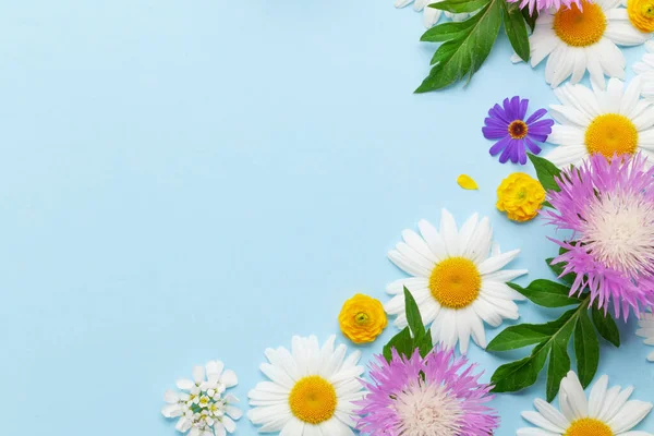 Mavi Arka Planda Çeşitli Renkli Bahçe Çiçekleri Tebrik Kartı Şablonu — Stok fotoğraf