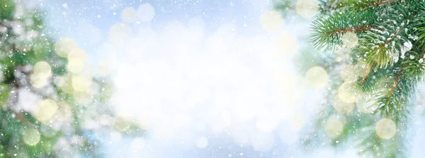 Різдвяна Листівка Гілками Ялинки Покритими Снігом Різдвяним Боке Синьому Фоні — стокове фото