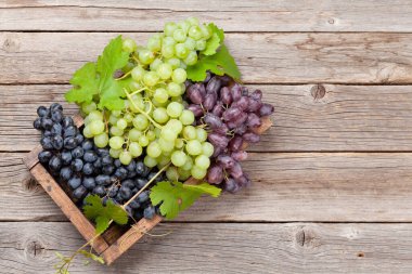 Tahta masada çeşitli renkli üzümler var. Üst görünüm düzlüğü kopyalama alanı ile yatıyordu