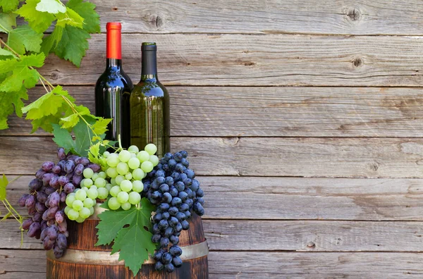 Várias Uvas Coloridas Garrafas Vinho Barril Vinho Jardim Ensolarado Livre — Fotografia de Stock