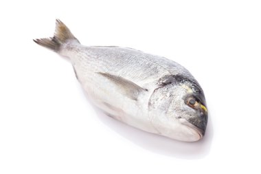 taze dorado balığı