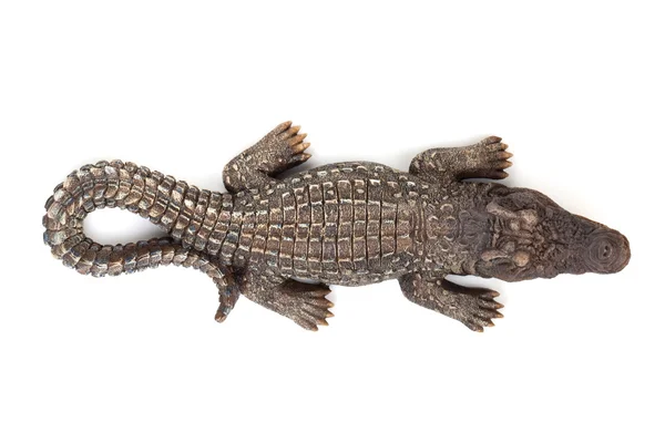 Крокодил з відкритим ротом — стокове фото